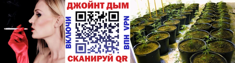 Канабис тримм  ОМГ ОМГ ТОР  Мариинский Посад 